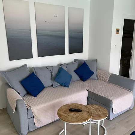 Casa Dante, Palmeras Iii *