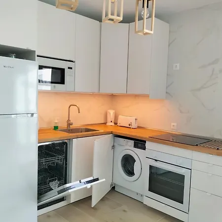 Casa Dante, Palmeras Iii *