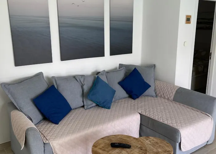 Casa Dante, Palmeras Iii *