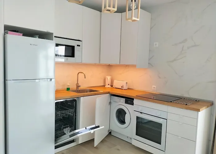 Casa Dante, Palmeras Iii *